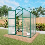 Greenhouse 6x4