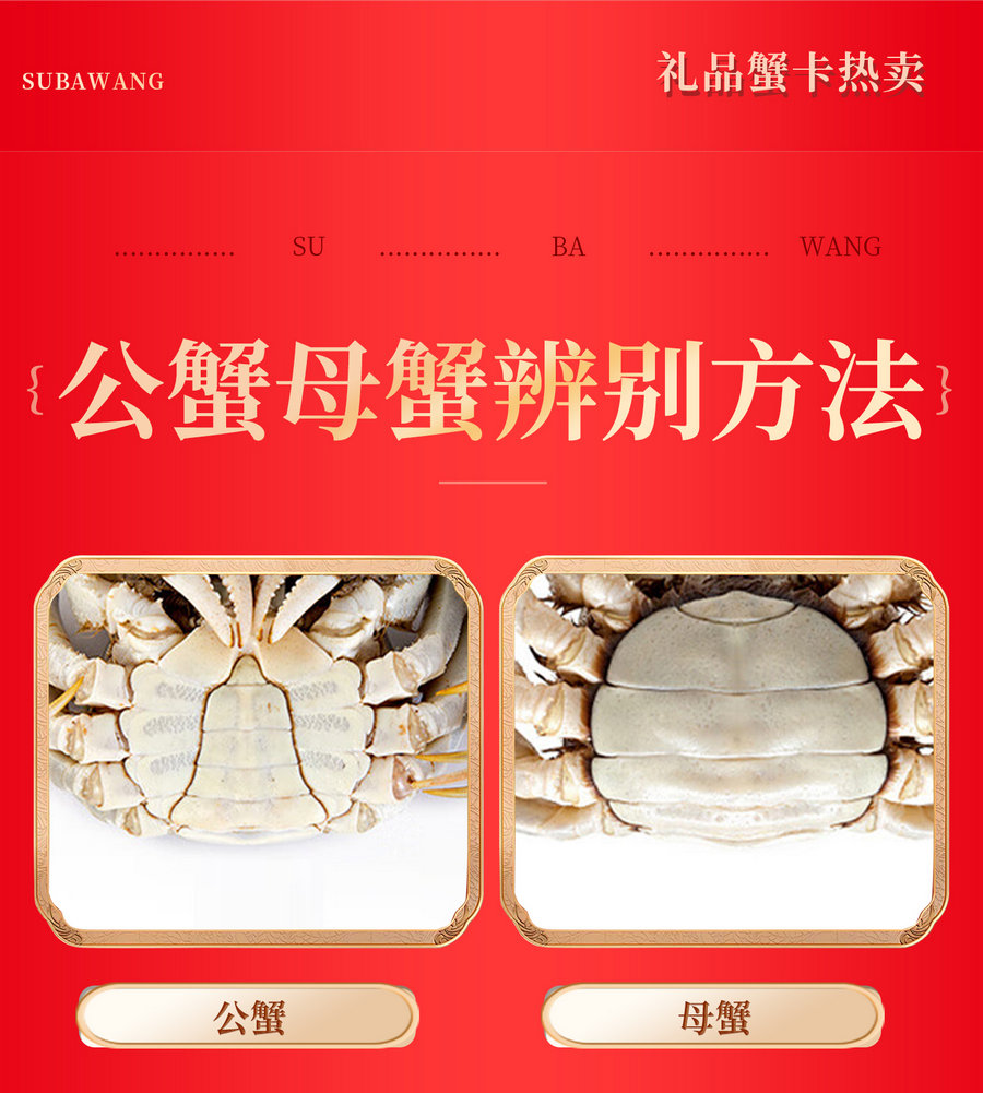 2025新蟹卡详情---_12.jpg
