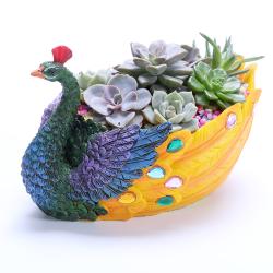 小号孔雀树脂多肉花盆 个性微景观肉肉拼盘 花盆批发