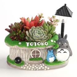 创意卡通多肉花盆 卡通双色LED灯树脂花盆 桌面摆件厂家